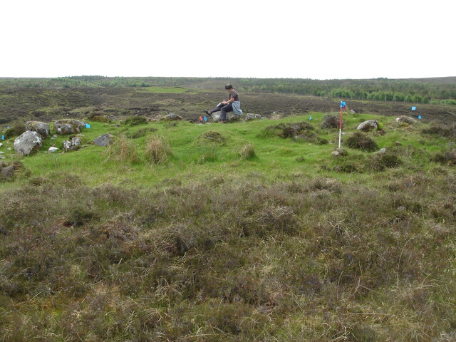 MHG7537_02.JPG