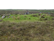 MHG7537_02.JPG