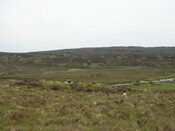 MHG7537_03.JPG