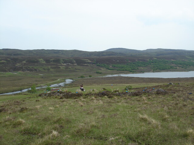 MHG7537_04.JPG