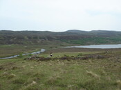 MHG7537_04.JPG