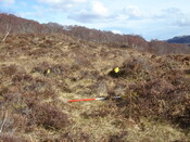 MHG7482_01.JPG