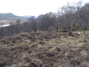 MHG7482_02.JPG
