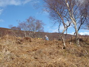MHG7482_03.JPG