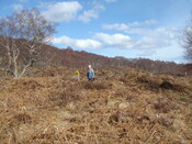 MHG7482_04.JPG