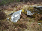 MHG59280_01.JPG