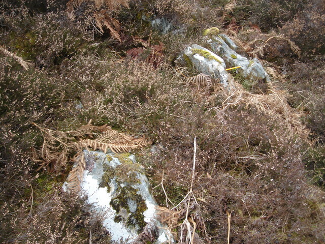 MHG59280_02.JPG