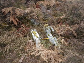 MHG59280_04.JPG