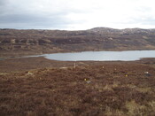 MHG59280_06.JPG