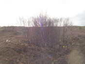 MHG6329_01.JPG