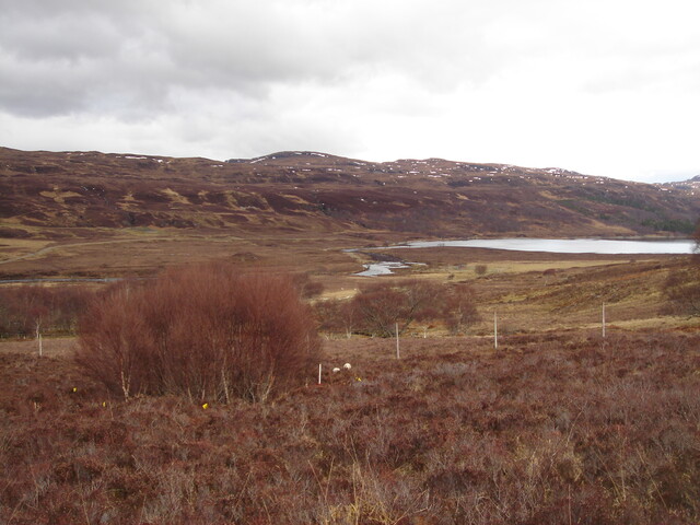 MHG6329_03.JPG