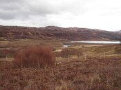 MHG6329_03.JPG