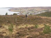 MHG59286_02.JPG
