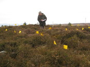 MHG59286_04.JPG