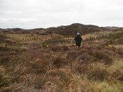 MHG59292_03.JPG