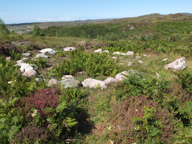 MHG59292_05.JPG