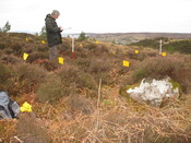 MHG59292_04.JPG