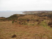 MHG59341_01.JPG