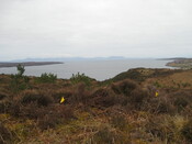 MHG59341_02.JPG