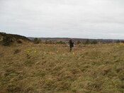 MHG59343_03.JPG