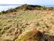 MHG59343_04.jpg