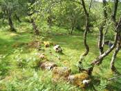 MHG59347_01.JPG