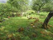 MHG59347_02.JPG