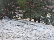 EHG5235_14.JPG