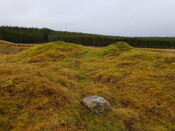 EHG5235_19.jpg