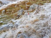 EHG5235_26.jpg
