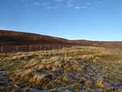 EHG5235_42.JPG