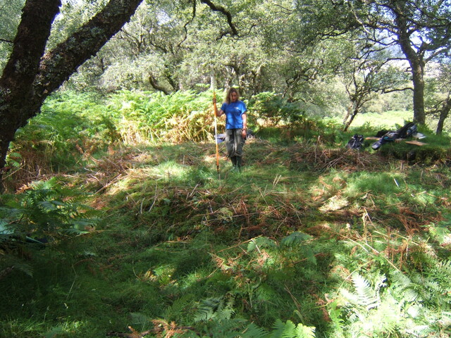 MHG59524_01.JPG