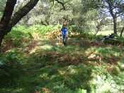 MHG59524_01.JPG