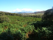 MHG59524_02.JPG