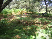 MHG59524_03.JPG