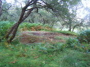 MHG59524_04.JPG