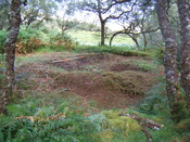 MHG59524_05.JPG