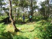 MHG59525_01.JPG
