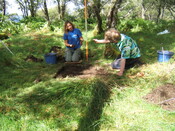 MHG59525_02.JPG
