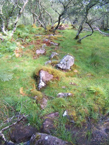 MHG59526_01.JPG