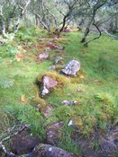 MHG59526_01.JPG