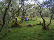MHG59526_02.JPG