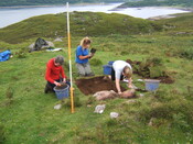 MHG59527_01.JPG