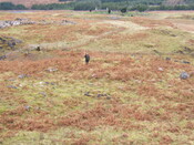 MHG59564_02.JPG