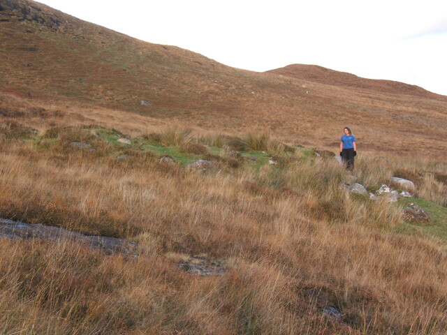 MHG59629_01.JPG
