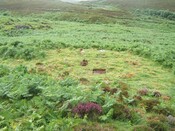 MHG59686_01.JPG