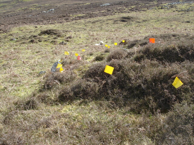 MHG59690_01.JPG