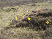 MHG59690_01.JPG