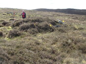MHG59690_02.JPG