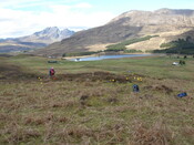 MHG59690_03.JPG